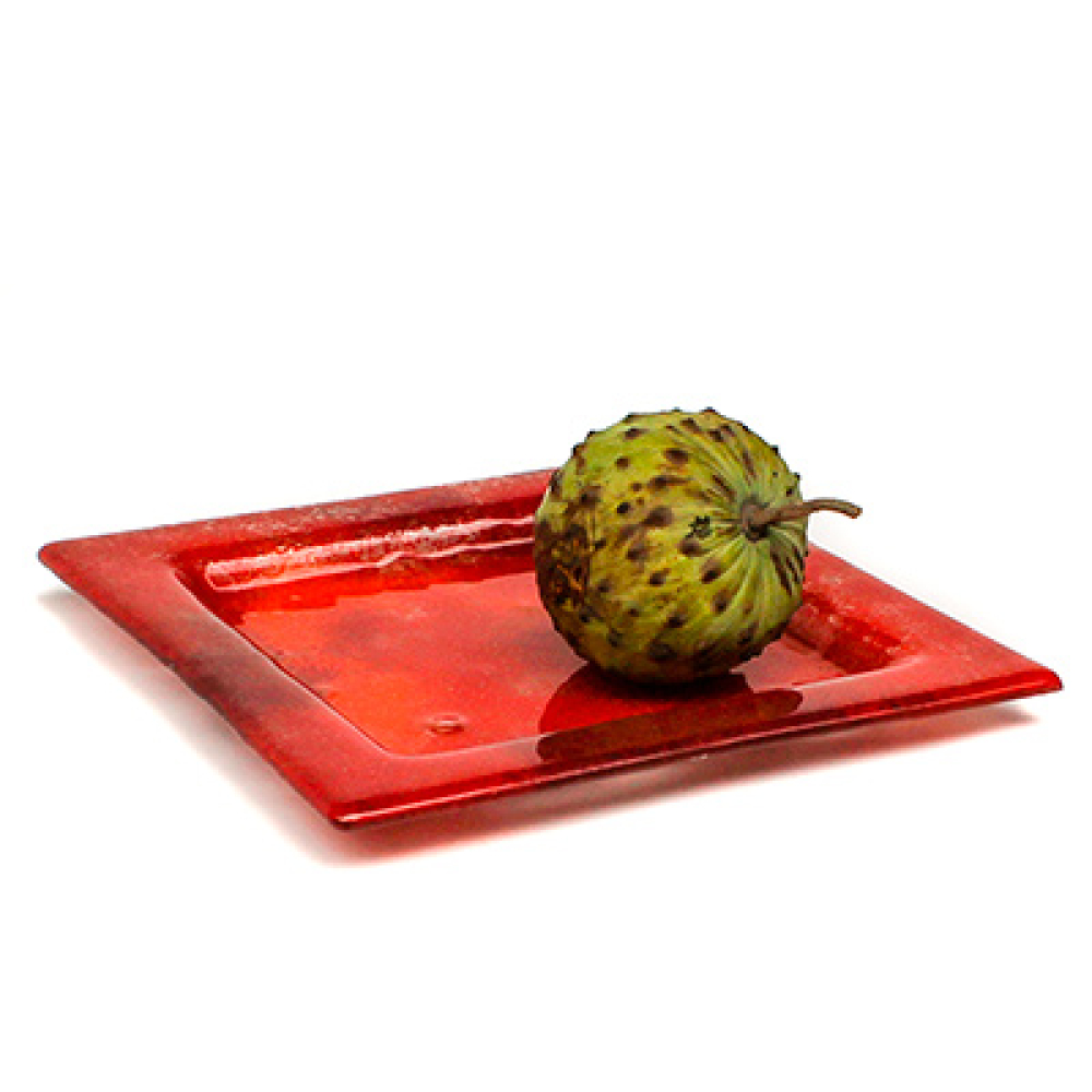 set x 4 appetizer & dessert square plates hojas rojas