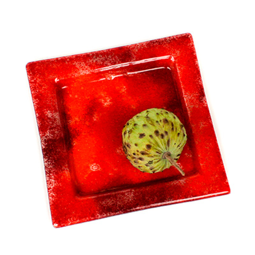 set x 4 appetizer & dessert square plates hojas rojas