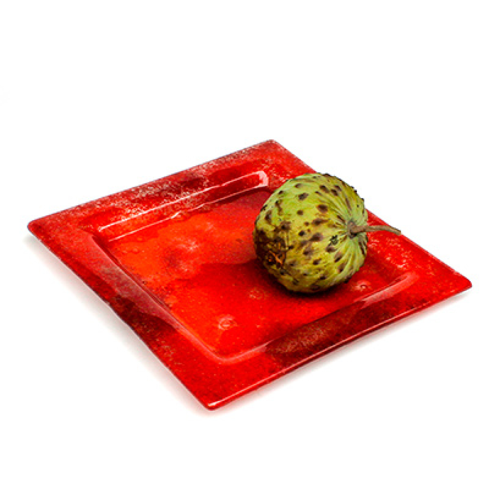 set x 4 appetizer & dessert square plates hojas rojas