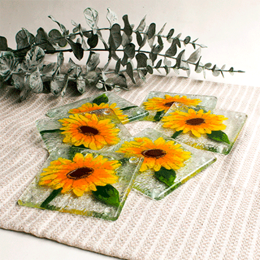 girasoles for 6 coasters
