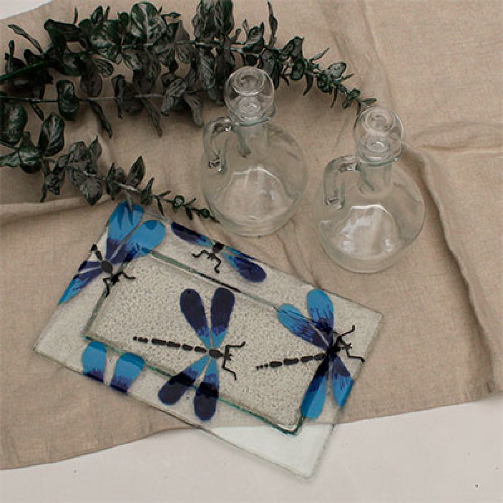 Set salad libélula azul