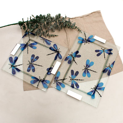 set trays libélula azul